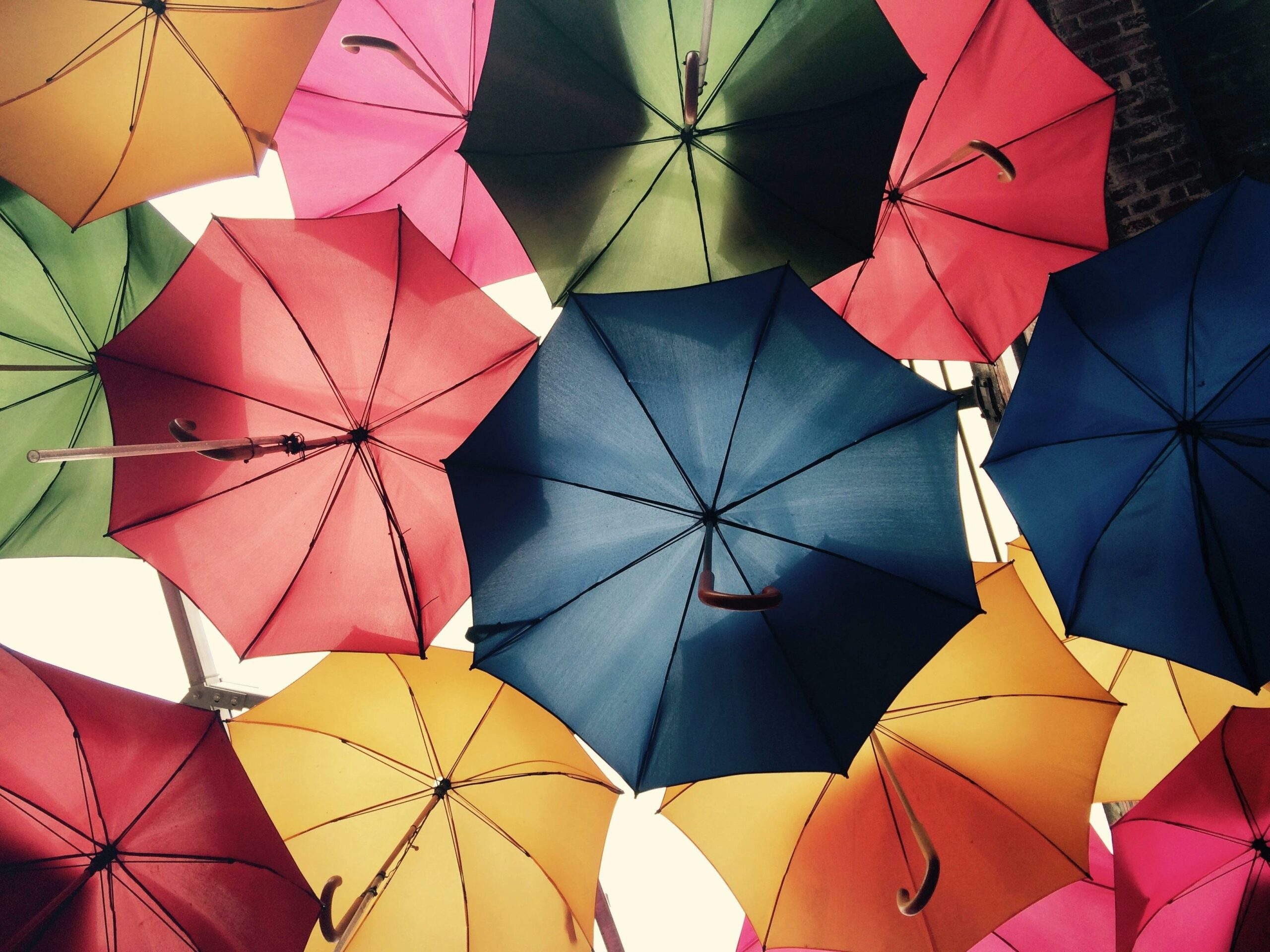 Essential Insurance For Your Family